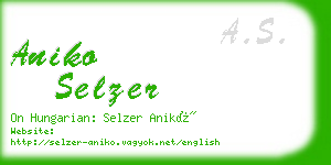 aniko selzer business card